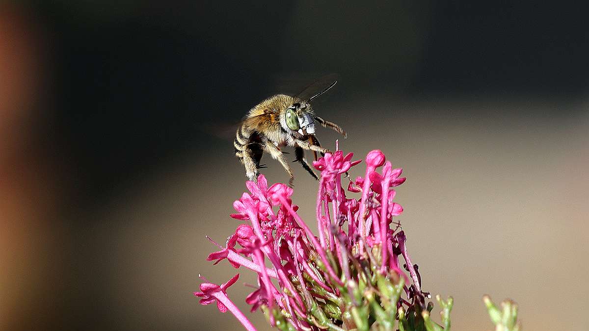 IMG_9048