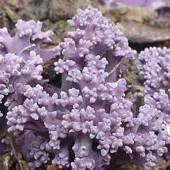 P1020729