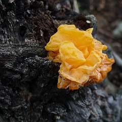 P1100926