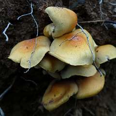 P1100930