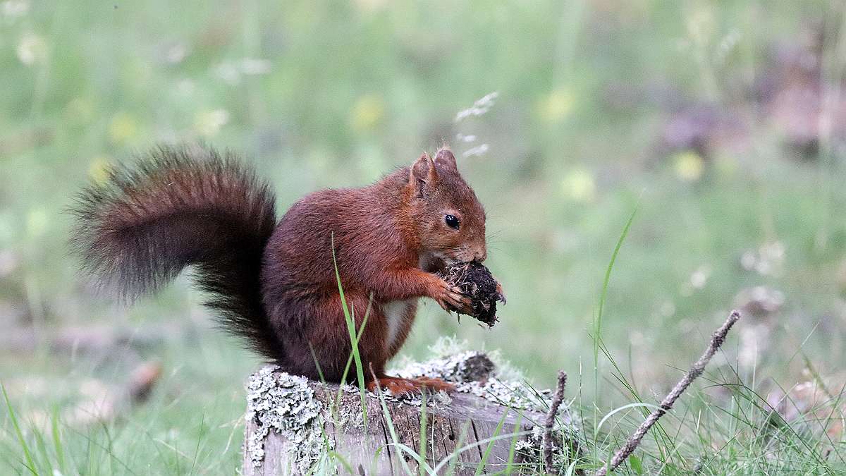 IMG_0788a