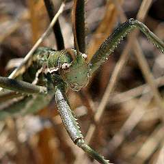 IMG_0245aa