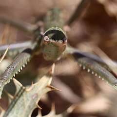 IMG_0261a