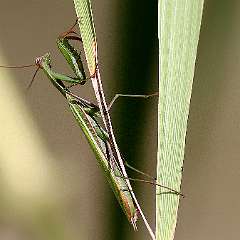 IMG_7957aa