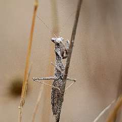IMG_9026a