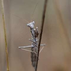 IMG_9033a