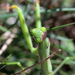 IMG_9098a