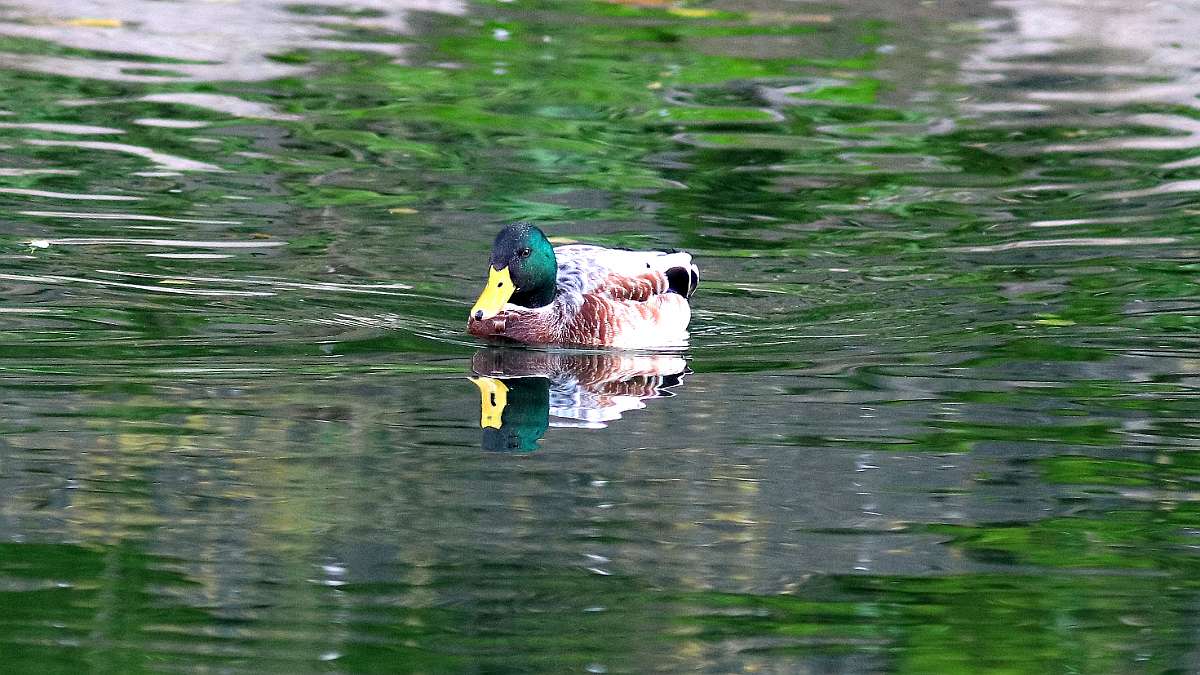 IMG_6048a