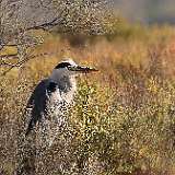 IMG_7110aa