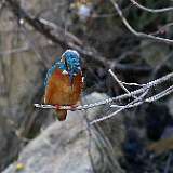 IMG_0013a