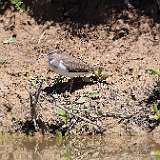 IMG_5746a