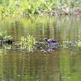 IMG_5755a
