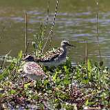 IMG_5774a