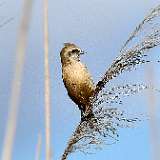 IMG_4960a