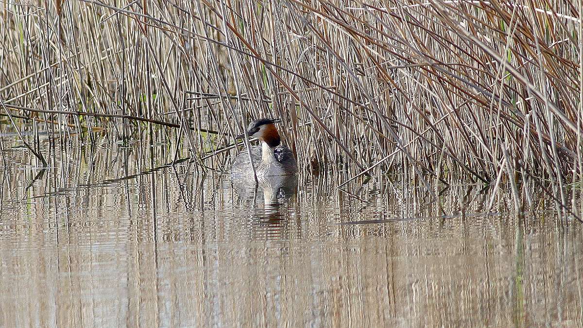 IMG_4950a