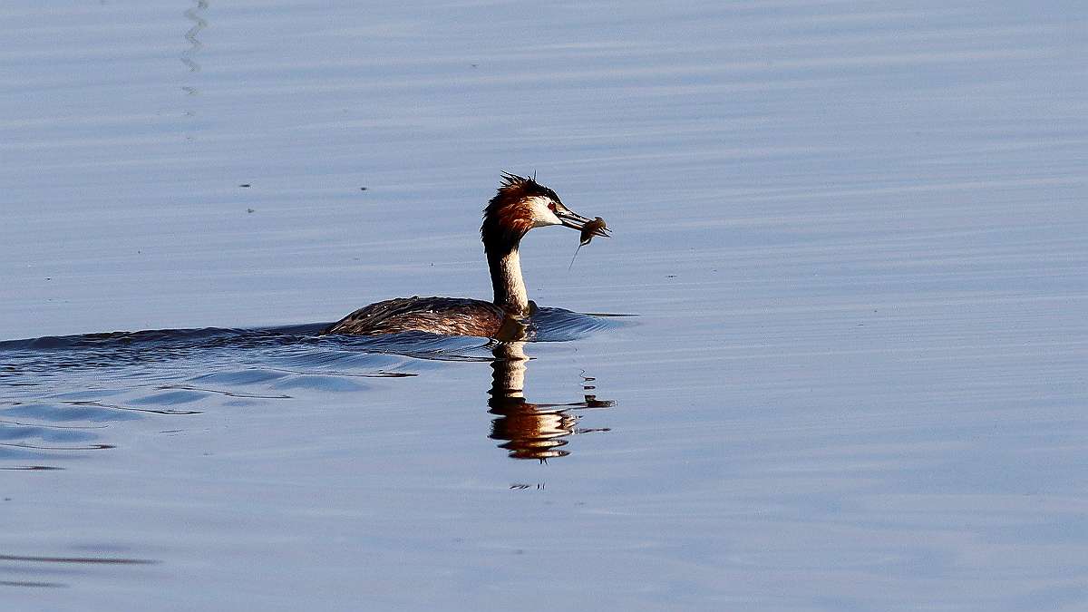 IMG_5080a