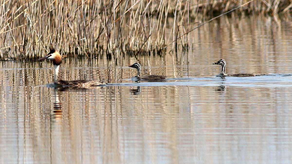 IMG_5153a