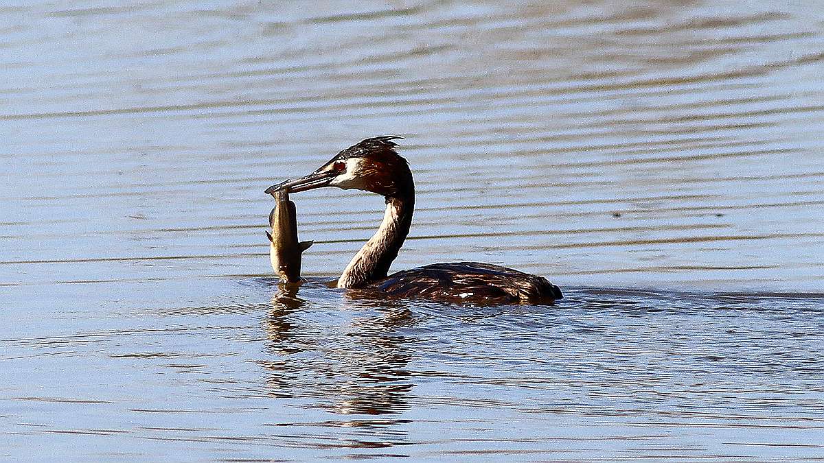 IMG_5537a