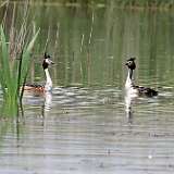 IMG_5693a