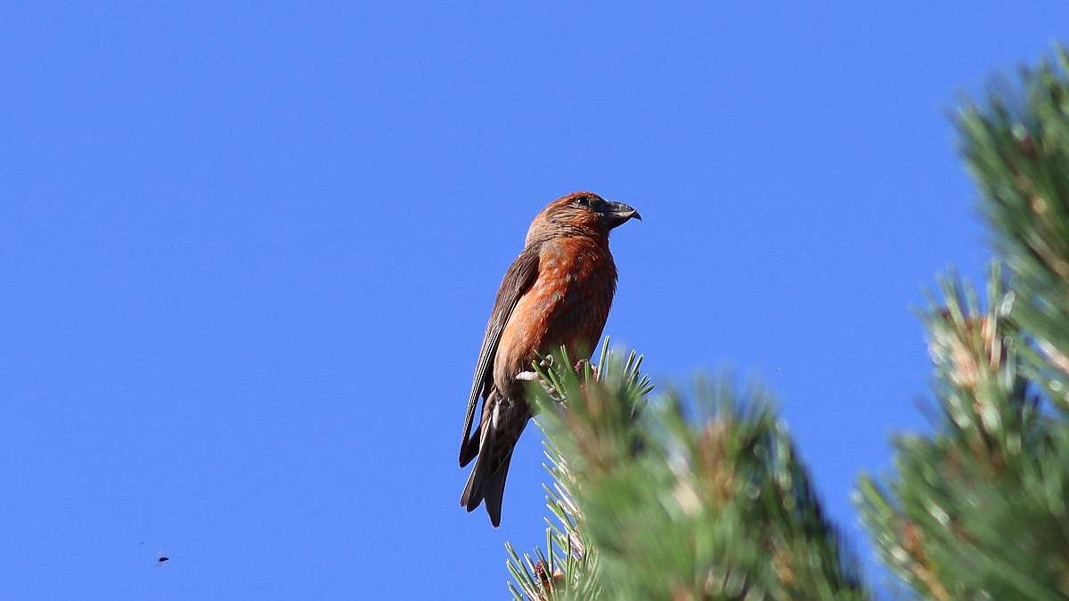 IMG_0346a