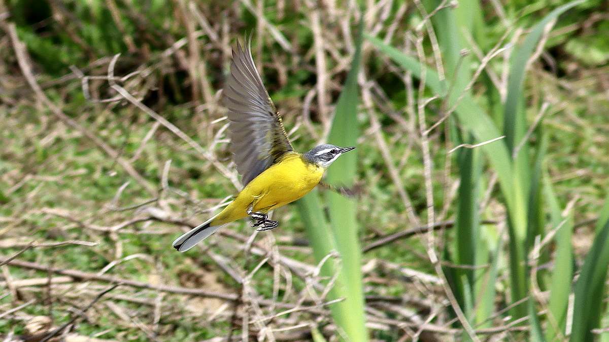 IMG_0122aa