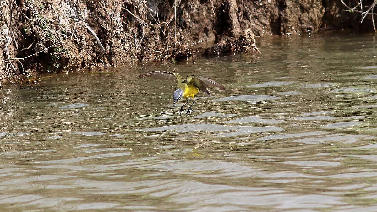 IMG_6183a