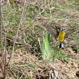 IMG_0120a