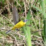 IMG_0122aa