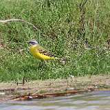 IMG_0131a