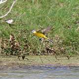IMG_6174a