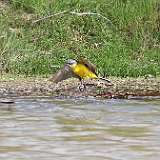 IMG_6178a