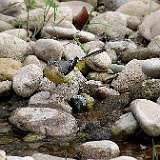 IMG_9683a
