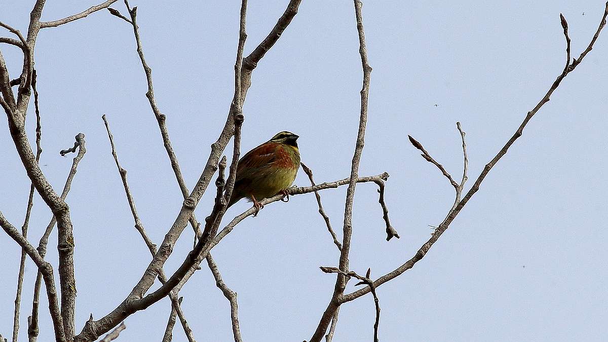 IMG_3717a