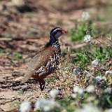 IMG_9465a