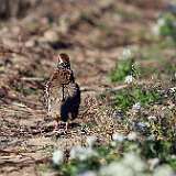 IMG_9466a