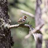 IMG_0816a