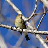 IMG_9790a