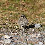 IMG_9865a
