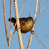 IMG_6202a