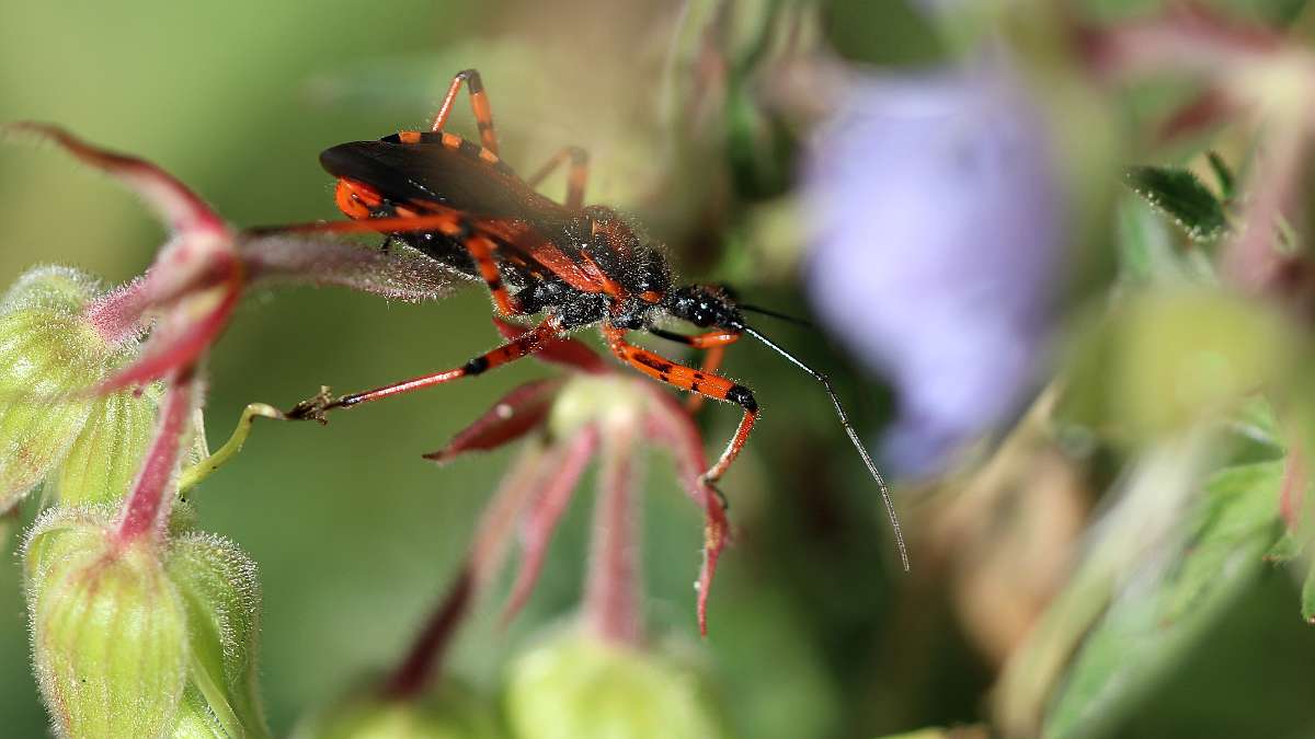 IMG_0058a