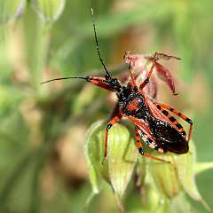 IMG_0056a