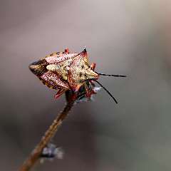 IMG_0206a