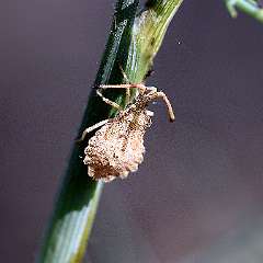 IMG_9983a