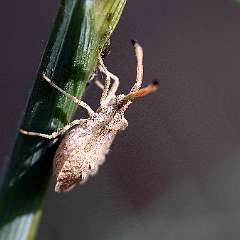 IMG_9984a