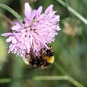 IMG_0195a