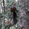 IMG_0587a