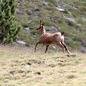 IMG_0718a
