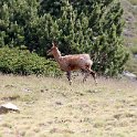 IMG_0719a