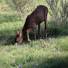 IMG_1128a