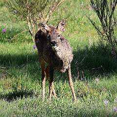 IMG_1140a